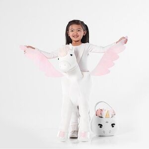 Pottery Barn Kids Pegasus Costume Size 4/6